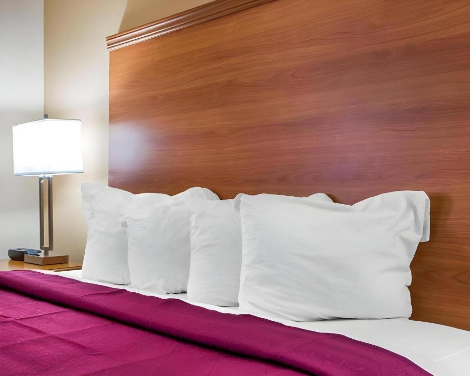 Quality Inn Ottawa Near Starved Rock State Park Exterior foto